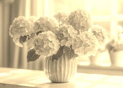 Szary + Sepia
