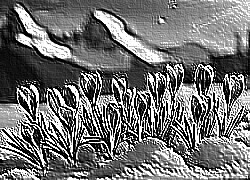 Skamielina