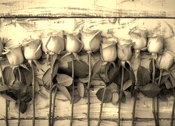 Szary + Sepia