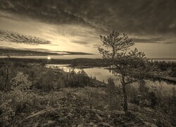 Sepia