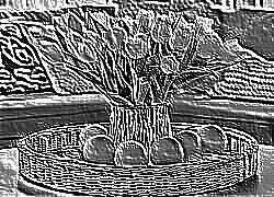 Skamielina