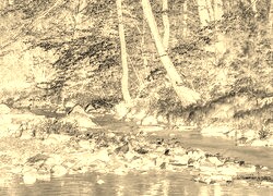 Sepia + Negatyw