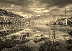 Szary + Sepia