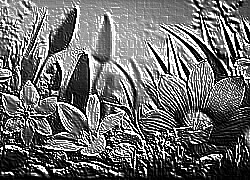Skamielina