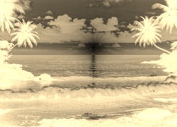Sepia + Negatyw
