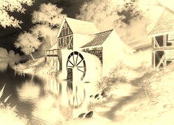 Sepia + Negatyw