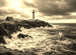 Szary + Sepia