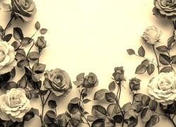 Szary + Sepia