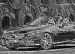 Skamielina