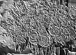 Skamielina