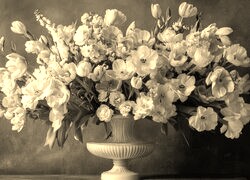 Szary + Sepia