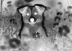 Szary + Negatyw