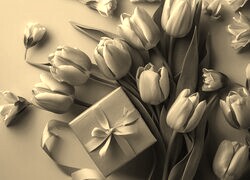 Szary + Sepia