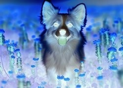 Negatyw