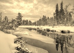 Szary + Sepia