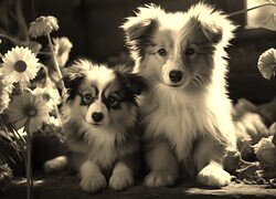 Sepia
