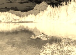 Sepia + Negatyw