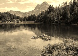 Szary + Sepia