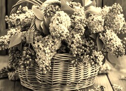Szary + Sepia