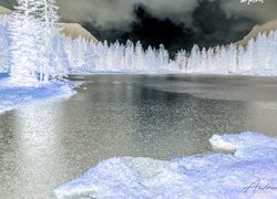 Negatyw
