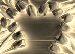 Sepia + Negatyw