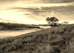 Szary + Sepia