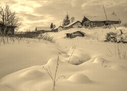 Szary + Sepia