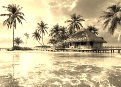 Szary + Sepia