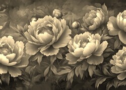 Szary + Sepia