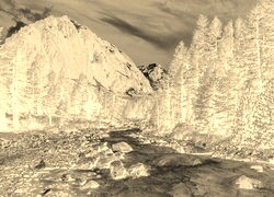 Sepia + Negatyw