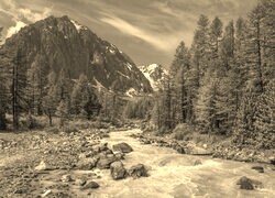 Szary + Sepia