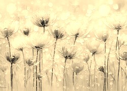 Szary + Sepia