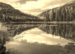 Sepia