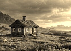 Szary + Sepia
