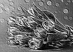 Skamielina
