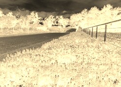 Sepia + Negatyw