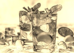 Sepia + Negatyw