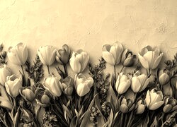 Szary + Sepia