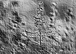 Skamielina