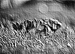 Skamielina