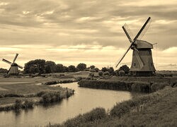 Szary + Sepia