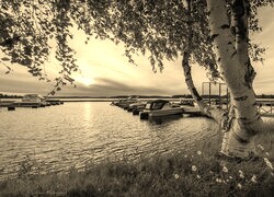 Szary + Sepia