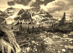 Szary + Sepia