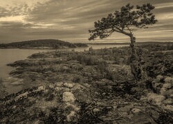 Sepia