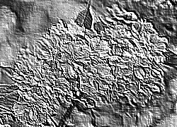 Skamielina