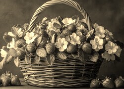 Szary + Sepia