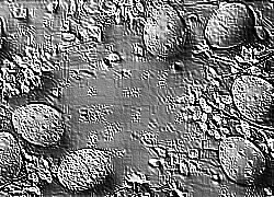Skamielina