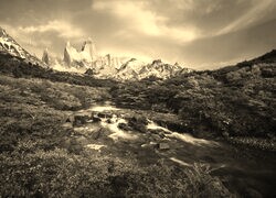 Szary + Sepia