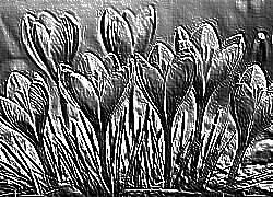 Skamielina