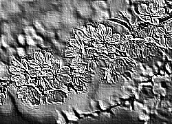 Skamielina